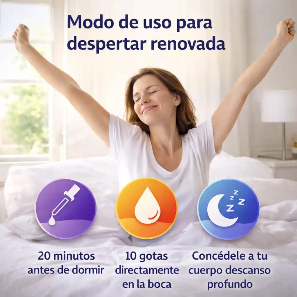 Encabezado